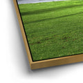 Thumbnail image 12 for Green Grassy Beach