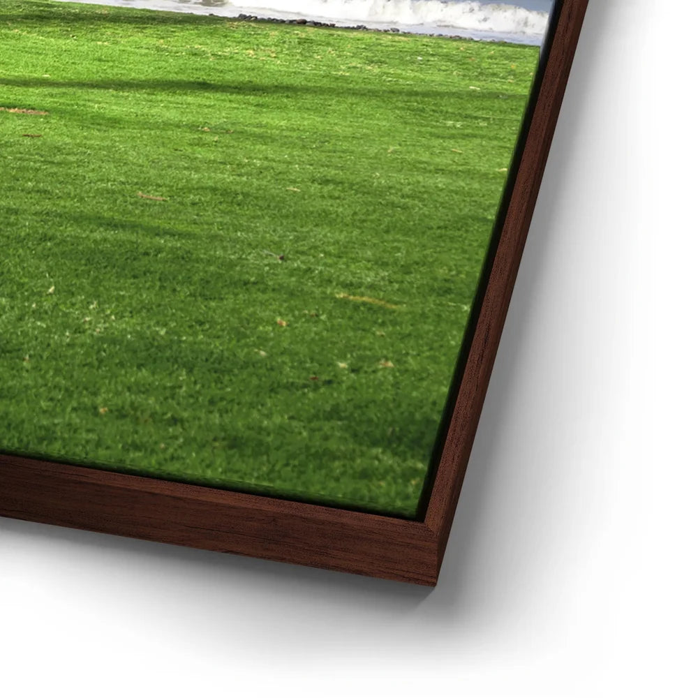 Featured image 14 for Green Grassy Beach
