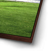 Thumbnail image 14 for Green Grassy Beach
