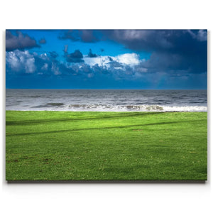Green Grassy Beach