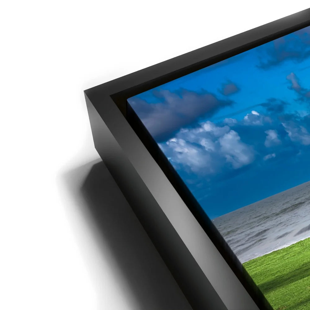 Featured image 11 for Green Grassy Beach