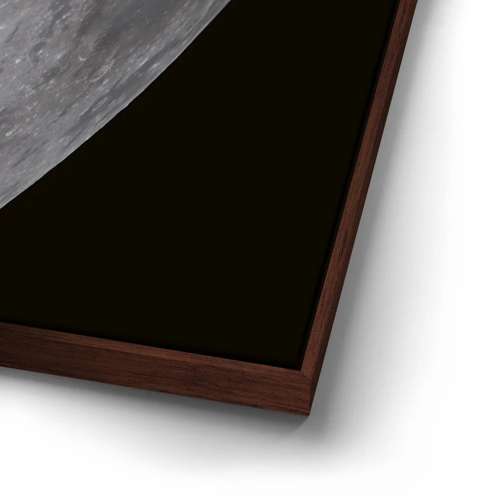 Featured image 14 for Handprint on the Moon