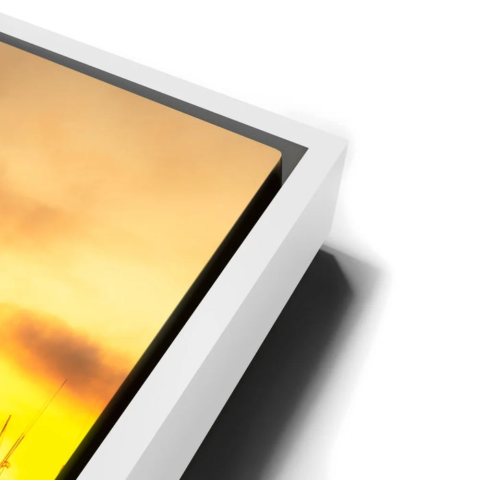 Featured image 13 for Harbor Village