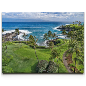 Hawaiian Horizon