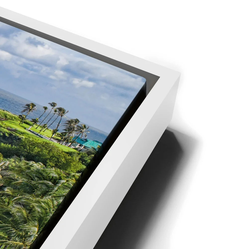 Featured image 14 for Hawaiian Horizon