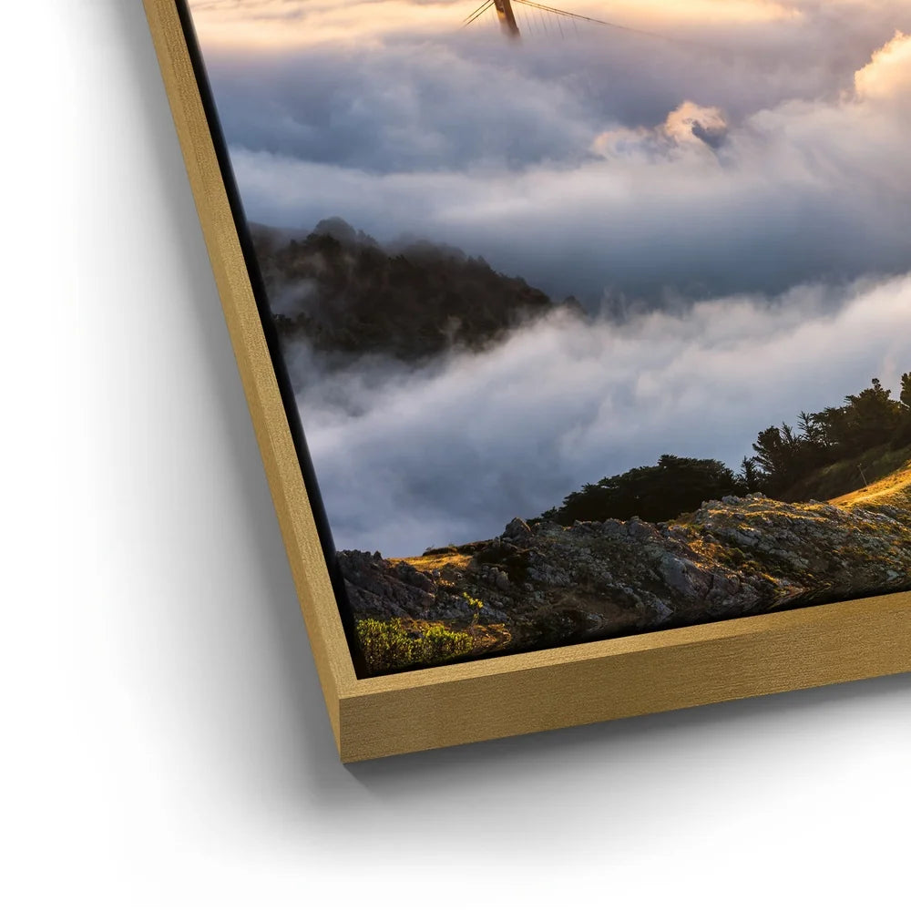 Featured image 12 for Hawk Eye