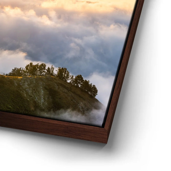 Featured image 14 for Hawk Eye