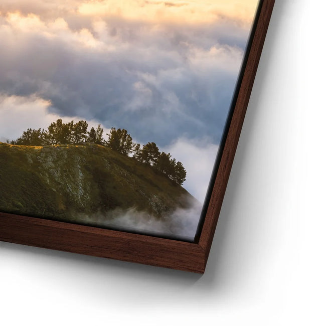 Featured image 14 for Hawk Eye