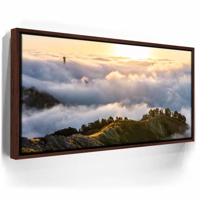 Featured image 10 for Hawk Eye