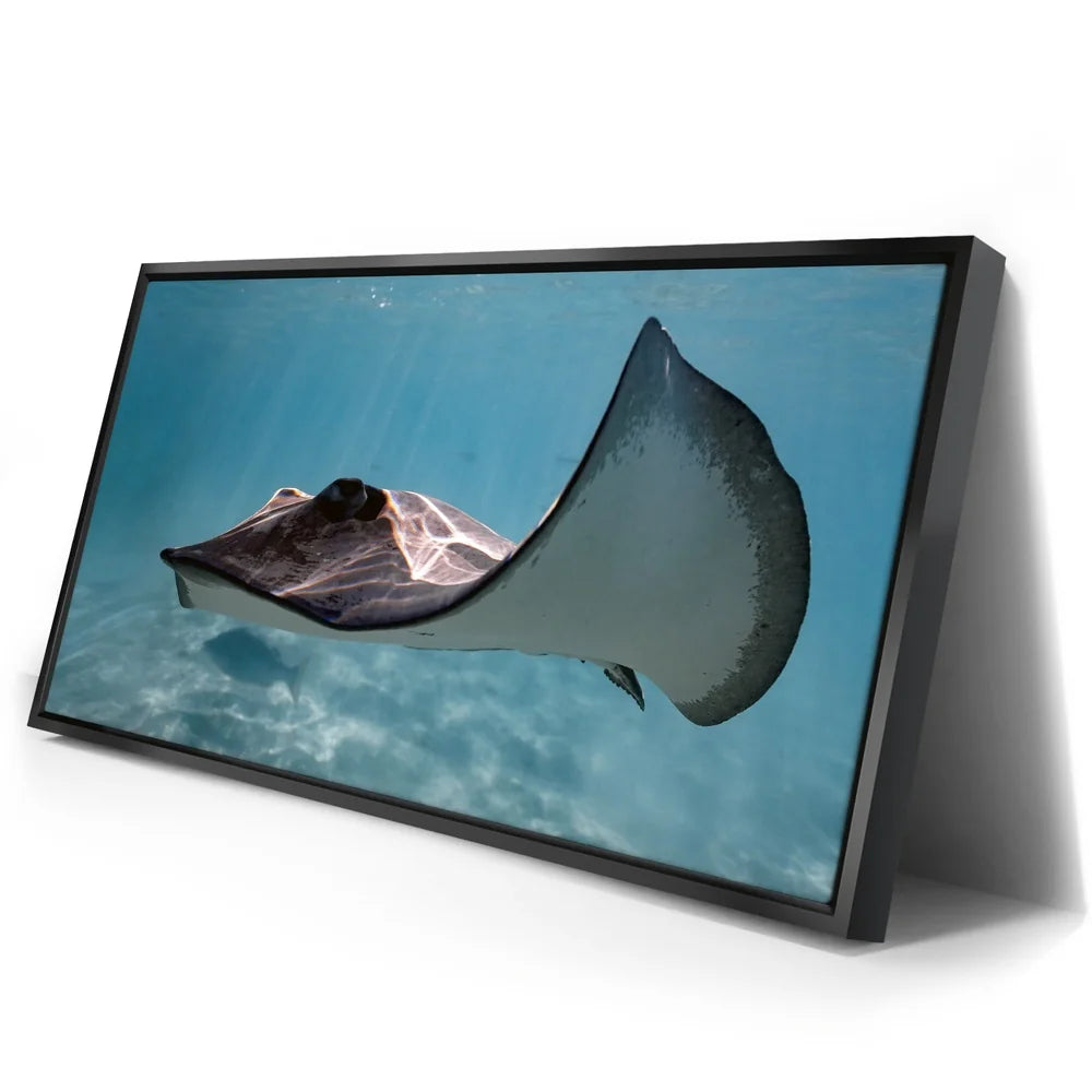 Featured image 2 for Hello Stingray - Tahiti