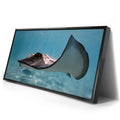 Thumbnail image 2 for Hello Stingray - Tahiti