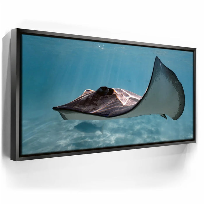Featured image 5 for Hello Stingray - Tahiti