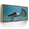 Featured image 7 for Hello Stingray - Tahiti