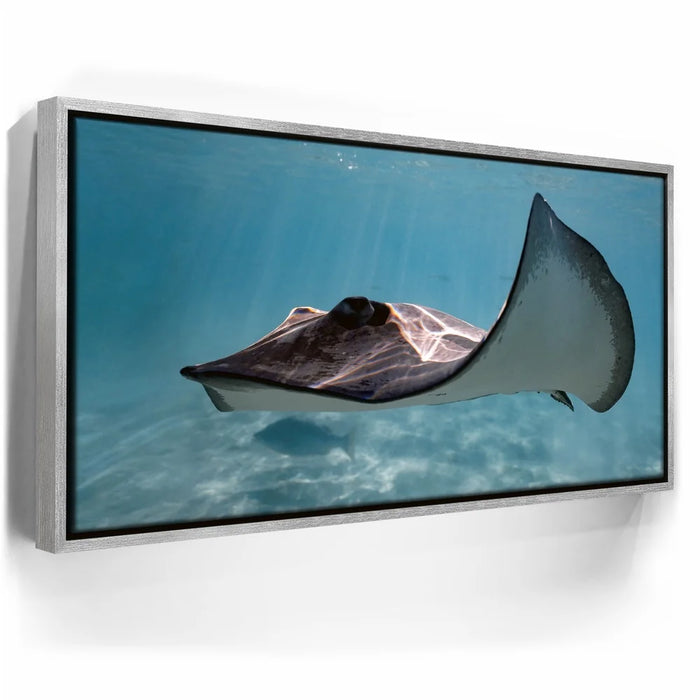 Featured image 8 for Hello Stingray - Tahiti