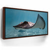 Featured image 10 for Hello Stingray - Tahiti
