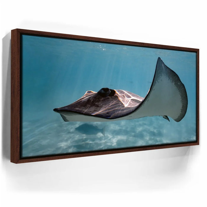 Featured image 10 for Hello Stingray - Tahiti