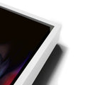 Thumbnail image 13 for Heterochromia