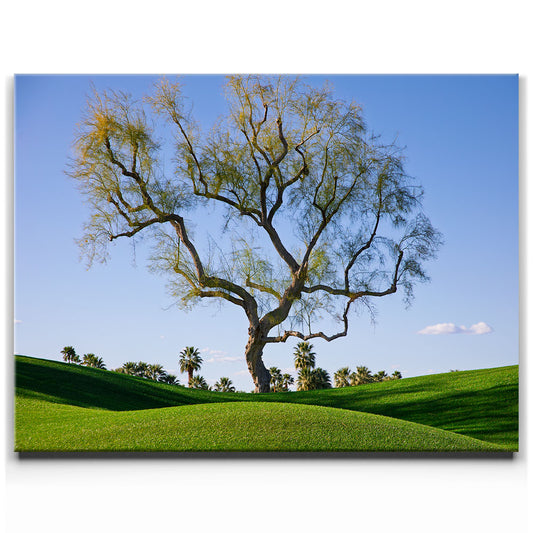 Hidden California Posters, Prints, & Visual Artwork TheGoatWallArt LANDSCAPE 24x18 0.75" STANDARD