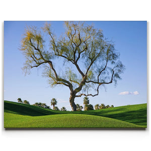 Hidden California