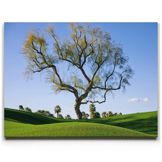 Hidden California