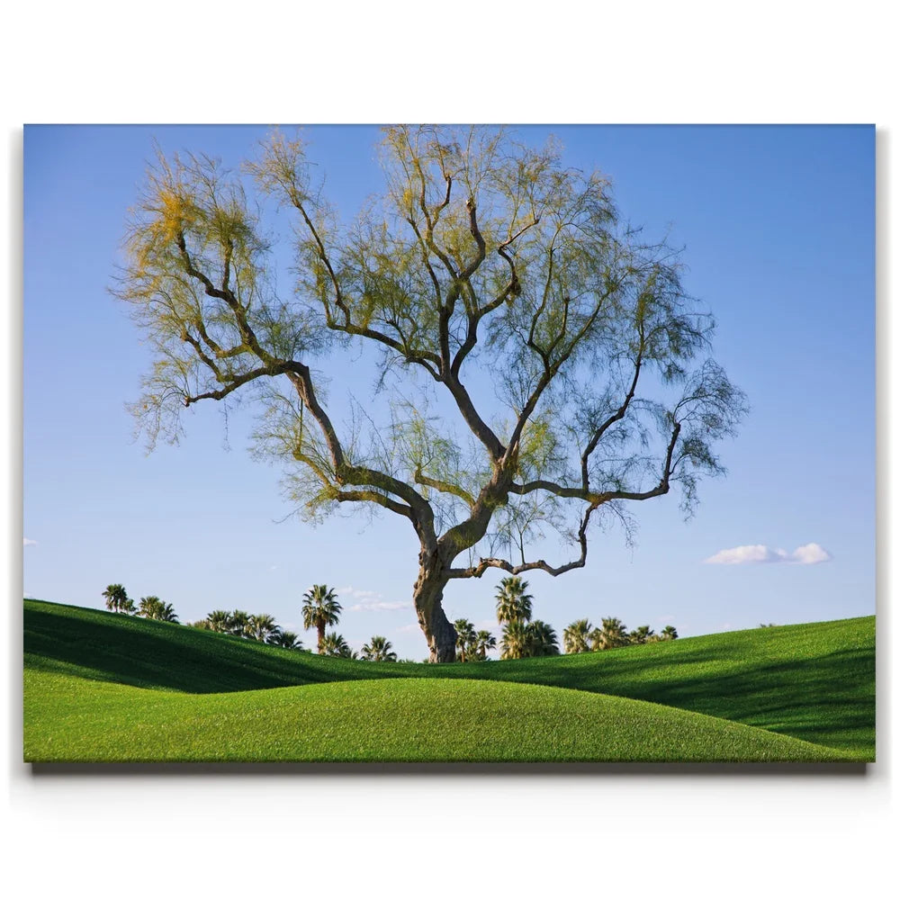 Featured image 1 for Hidden California