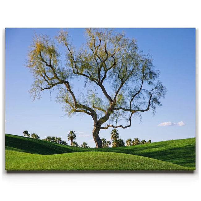 Featured image 1 for Hidden California