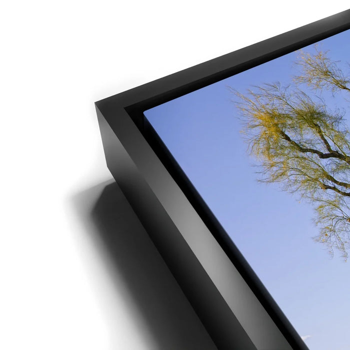 Featured image 11 for Hidden California