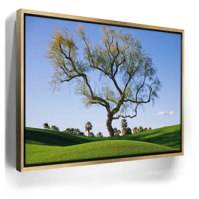 Featured image 7 for Hidden California