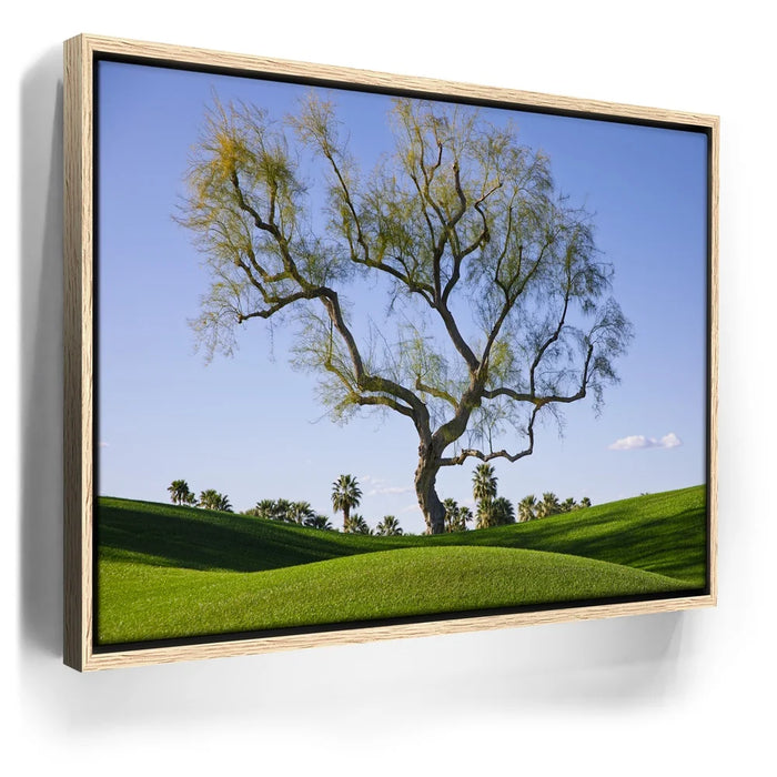 Featured image 9 for Hidden California