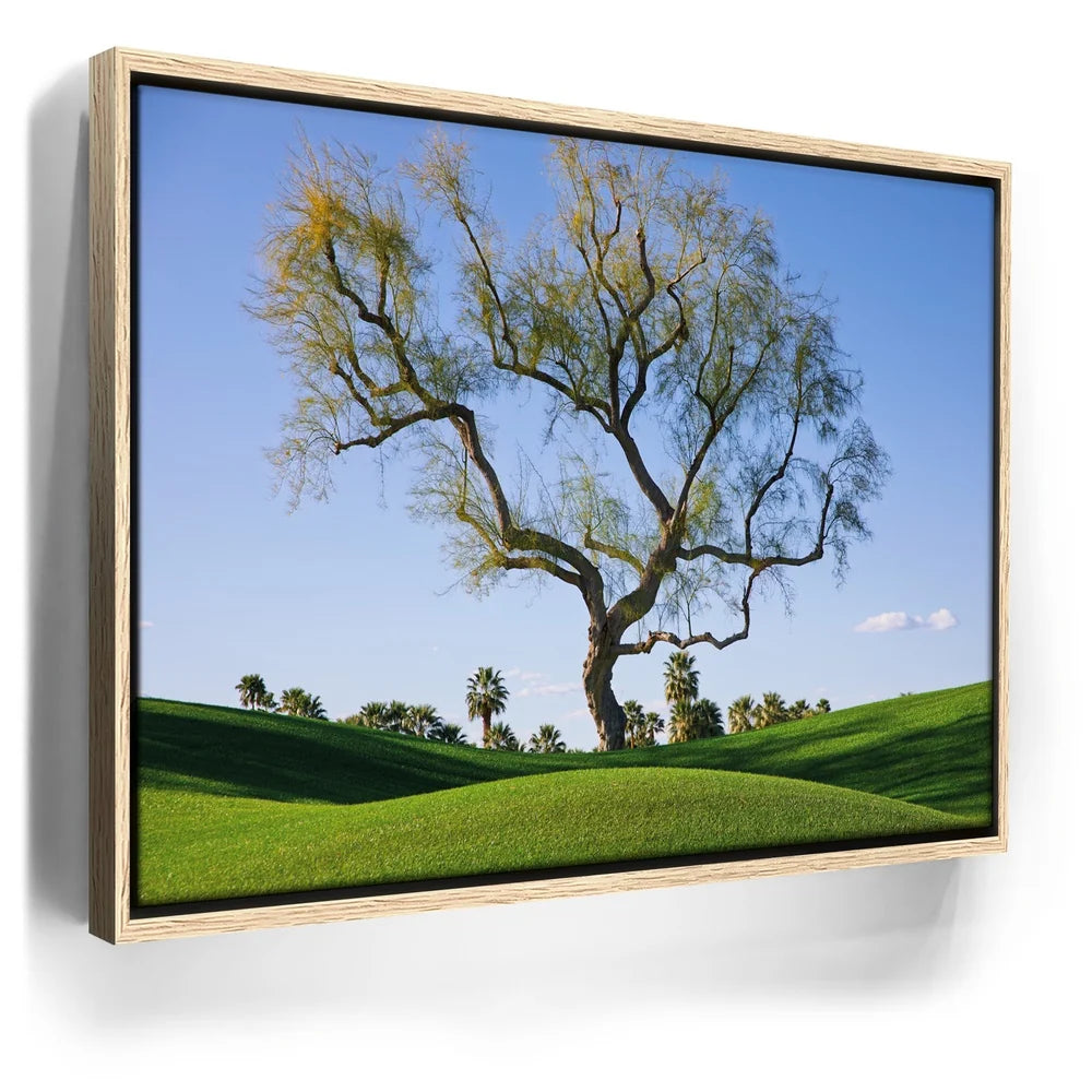 Featured image 9 for Hidden California