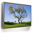 Featured image 9 for Hidden California