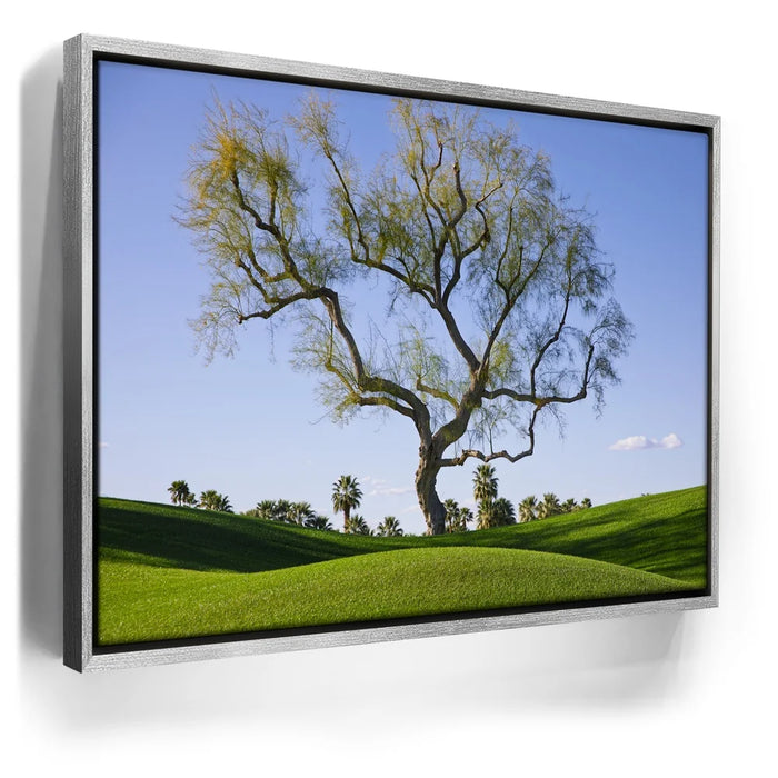 Featured image 8 for Hidden California