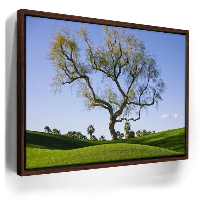 Featured image 10 for Hidden California