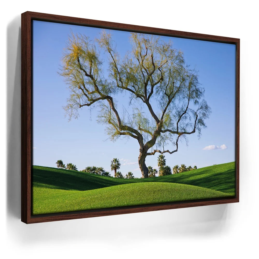 Featured image 10 for Hidden California