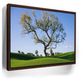 Featured image 10 for Hidden California
