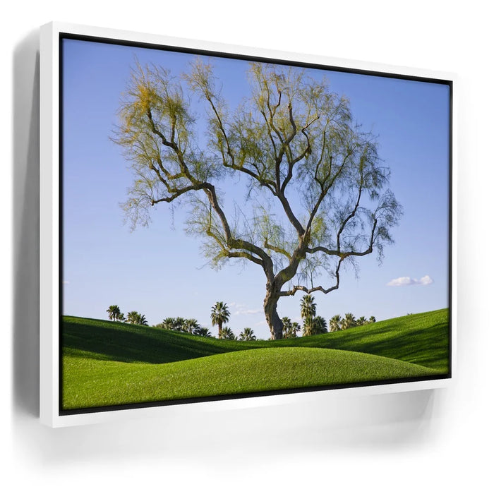 Featured image 6 for Hidden California