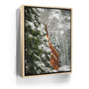 Featured image 9 for Hidden Chapel