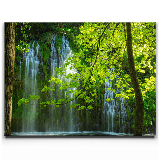 Hidden Falls Posters, Prints, & Visual Artwork TheGoatWallArt
