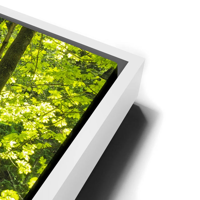 Featured image 13 for Hidden Falls