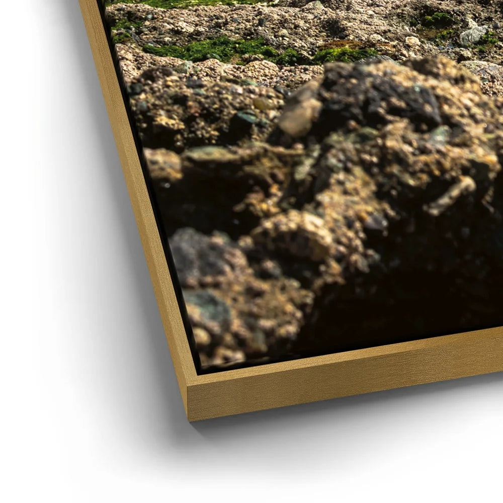 Featured image 12 for Hidden Tide Pools