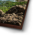 Thumbnail image 14 for Hidden Tide Pools