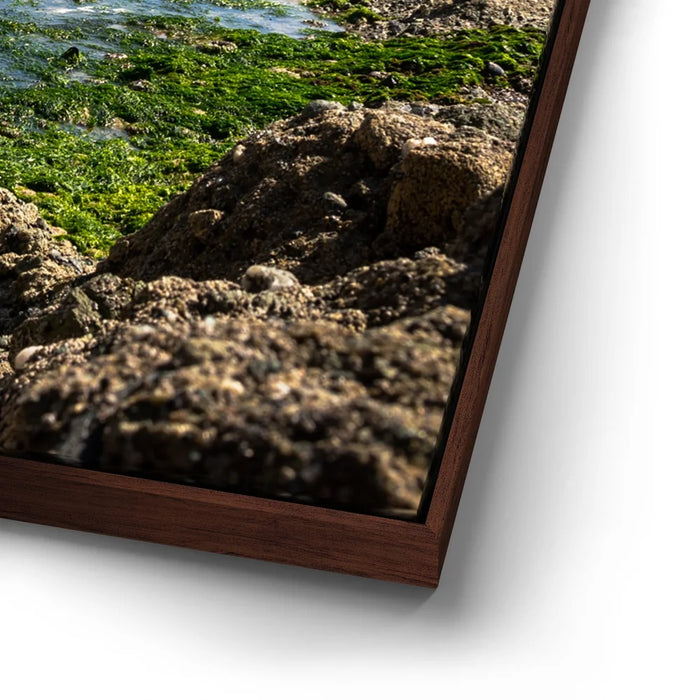 Featured image 14 for Hidden Tide Pools