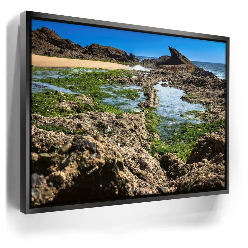 Featured image 5 for Hidden Tide Pools