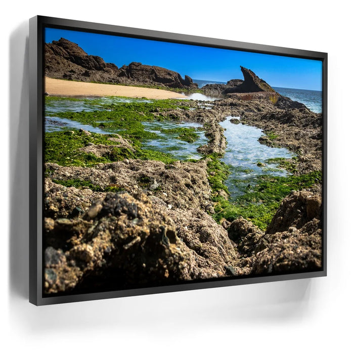 Featured image 5 for Hidden Tide Pools