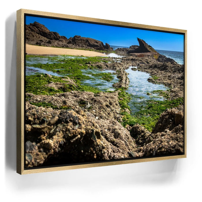 Featured image 7 for Hidden Tide Pools