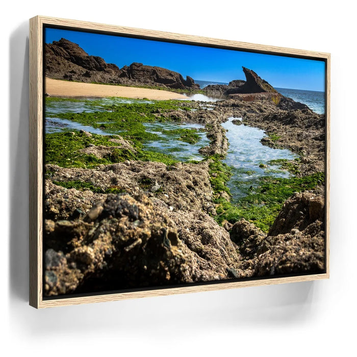 Featured image 9 for Hidden Tide Pools