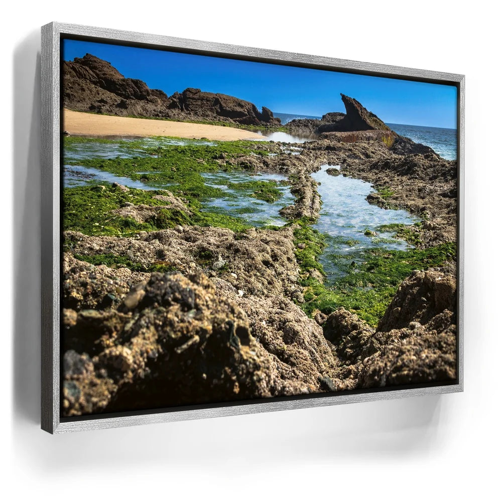 Featured image 8 for Hidden Tide Pools