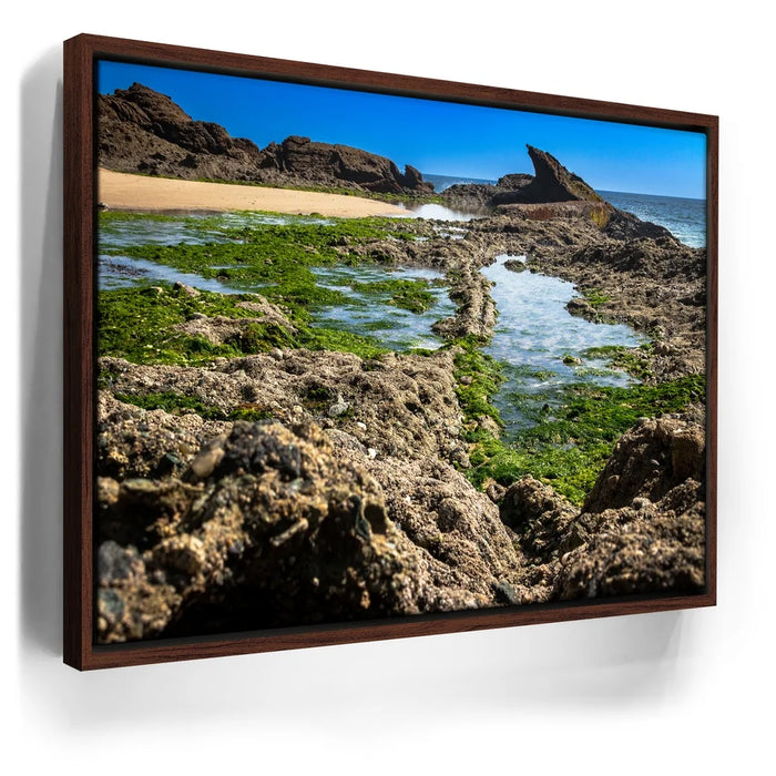 Featured image 10 for Hidden Tide Pools
