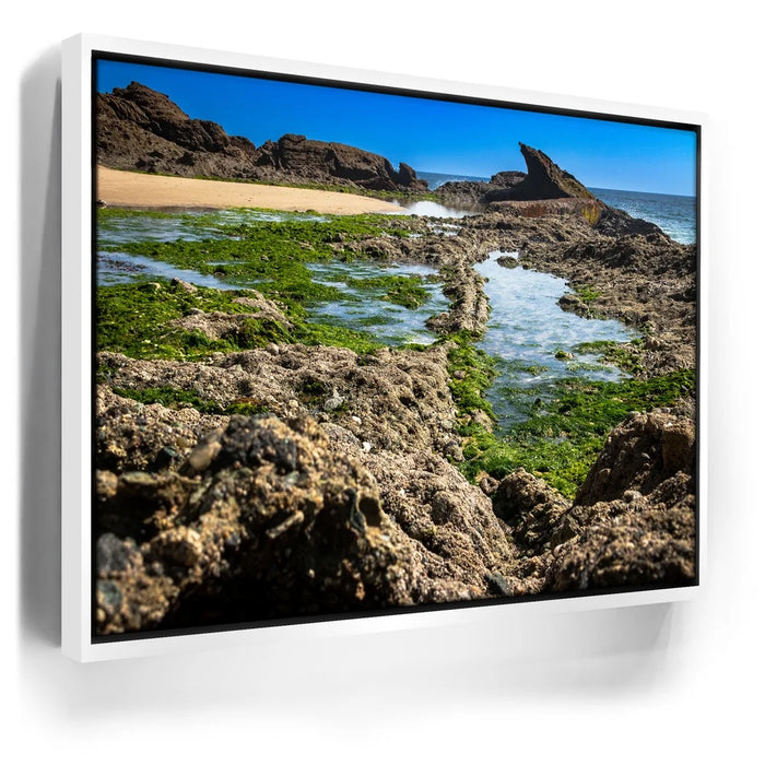 Featured image 6 for Hidden Tide Pools