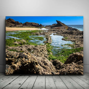 Hidden Tide Pools